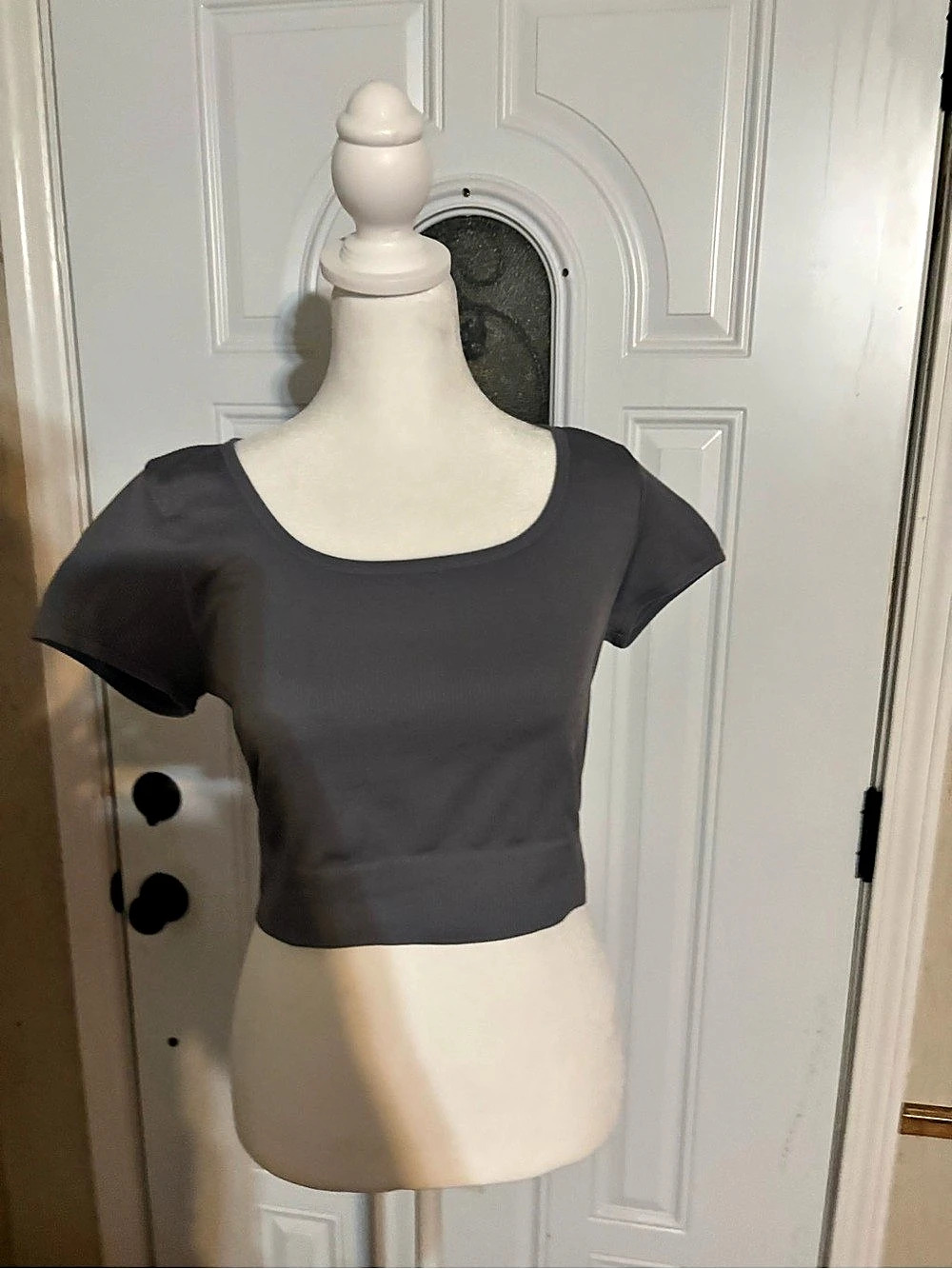 Lululemon Gray Short Sleeve Crop Top
